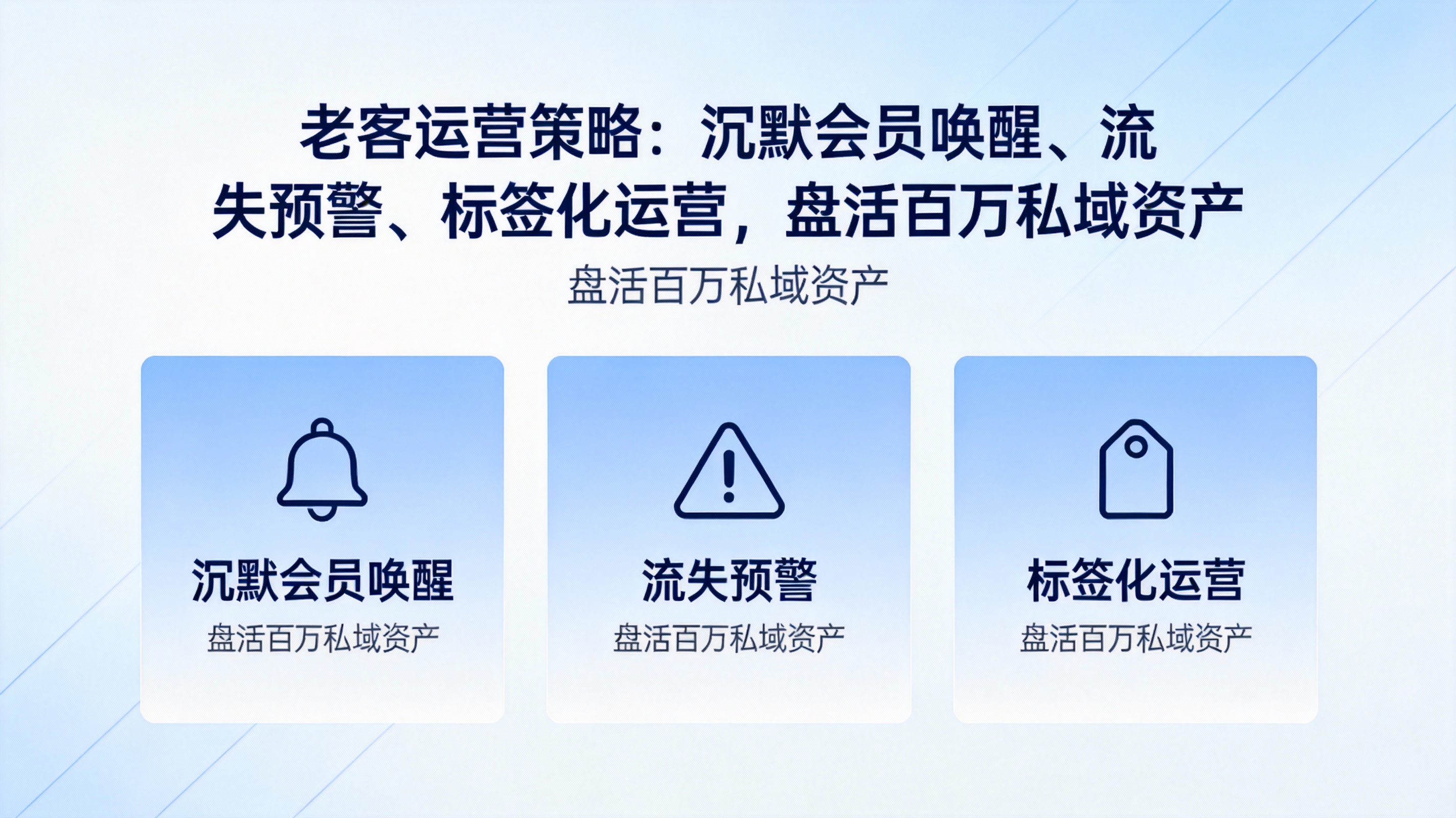 老客运营策略：沉默会员唤醒、流失预警、标签化运营，盘活百万私域资产